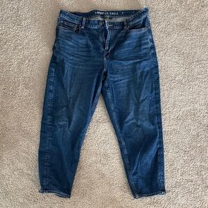 American Eagle Outfitters Dark Blue Women's Jeans